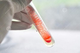 AGAR SABOURAUD DEX. COM CLORANFENICOL EM TUBOS - 10 TUBOS